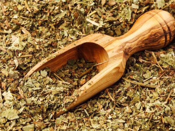 Čudežne lastnosti listov jagod